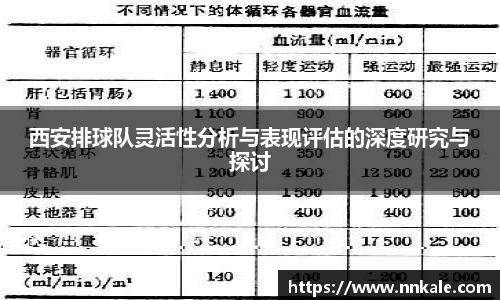 西安排球队灵活性分析与表现评估的深度研究与探讨